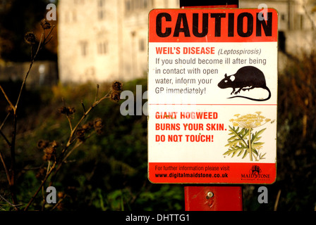 Sign warning of Weil's Disease (Leptospirosis) and Giant Hogweed by the ...