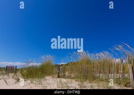 Alaior Cala Son Bou in Menorca dunes at Balearic islands Stock Photo