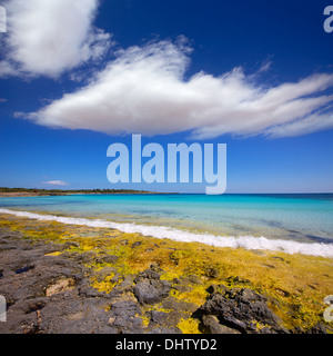 Menorca Son Saura beach in Ciutadella turquoise color at Balearic islands Stock Photo
