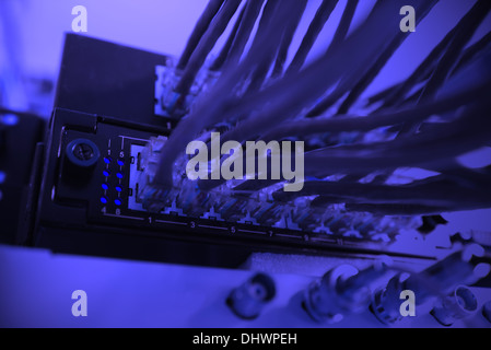 network cables connected to switches, shallow depth of field Macro Stock Photo