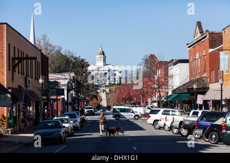 Woman walking two dogs across Main Street in Sylva, a small Smoky Mountain North Carolina town, Jackson County Courthouse beyond Stock Photo