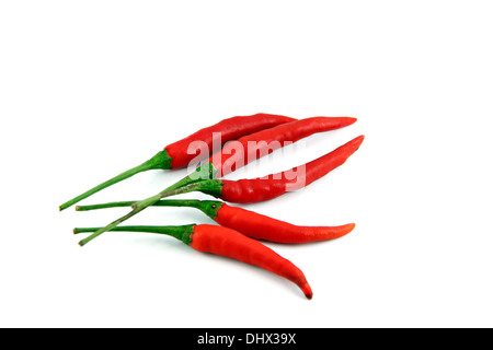 The Red paprika on white background. Stock Photo