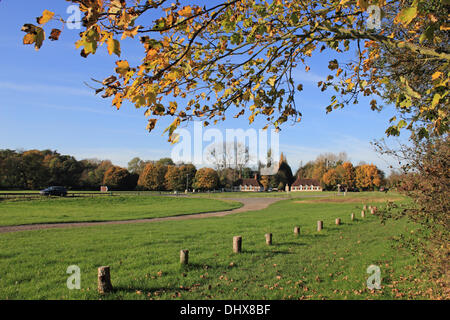 Runnymede, Surrey, UK. 15th November 2013. The autumn colours looked fabulous in the sunshine, at the Magna Carta Tea Room near the River Thames at Runnymede. Credit:  Julia Gavin/Alamy Live News Stock Photo