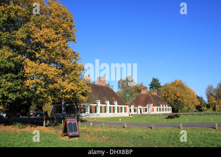 Runnymede, Surrey, UK. 15th November 2013. The autumn colours looked fabulous in the sunshine, at the Magna Carta Tea Room near the River Thames at Runnymede. Credit:  Julia Gavin/Alamy Live News Stock Photo