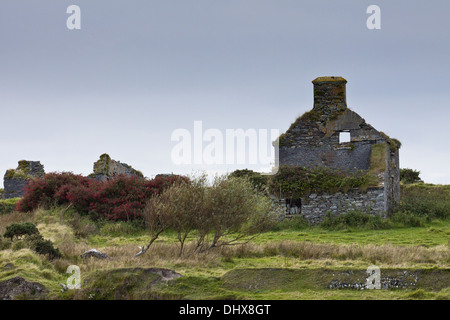 Ruined house in Ireland Stock Photo