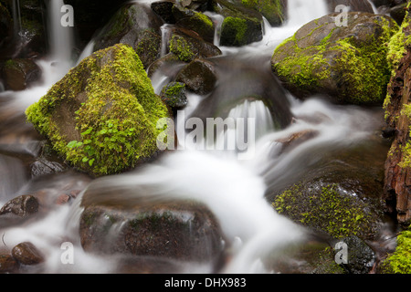 A tranquil creek cascading down a jagged landscape of moss-covered rocks  and lush foliage Stock Photo - Alamy