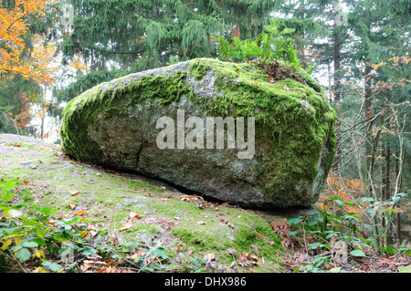 Moss-covered stone in the forest Stock Photo