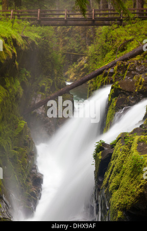 Sol Duc Falls in Olympic National Park, Washington. Stock Photo