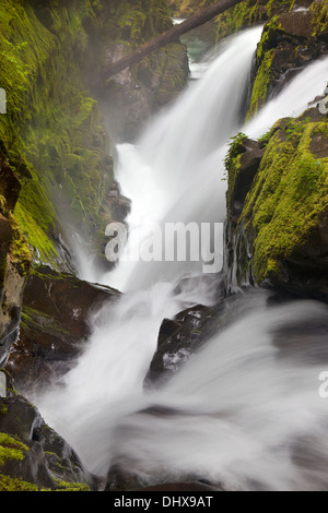 Sol Duc Falls in Olympic National Park, Washington. Stock Photo