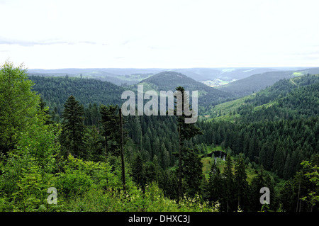 Ellbachsee Black Forest Germany Stock Photo