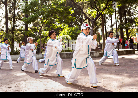 Elderly women practice Tai Chi for exercise in Conzatti Park Oaxaca, Mexico. Stock Photo