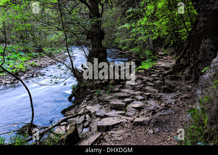 Trail Wutachschlucht Black Forest of Germany, Stock Photo