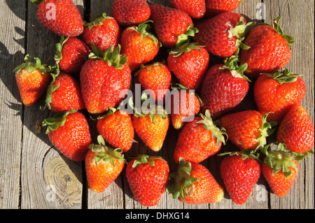 Strawberries Stock Photo