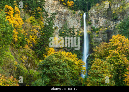 Multnomah Falls in autumn, Columbia River Gorge National Scenic Area, Oregon. Stock Photo