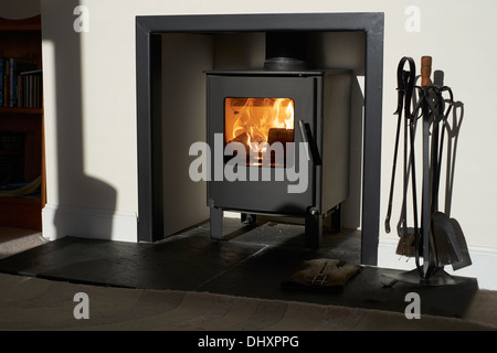 Wood burning stove, traditional heating system. Zero carbon footprint Stock Photo