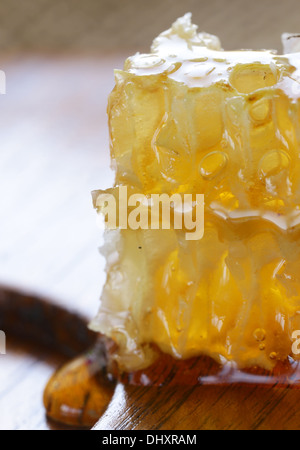 natural organic honey in the comb Stock Photo