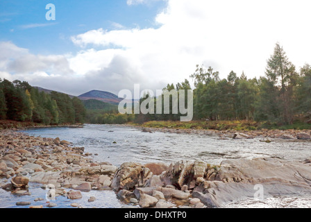 A view of the River Dee winding through Ballochbuie Forest, near Braemar, Aberdeenshire, Scotland, United Kingdom. Stock Photo