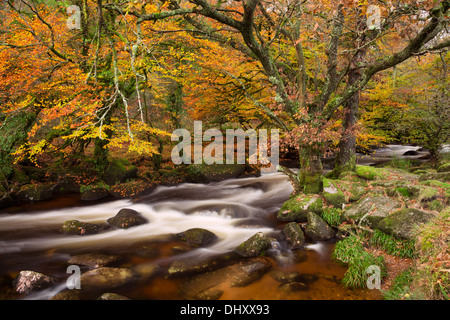 The East Dart river In autumn Dartmoor National Park Devon Uk Stock Photo