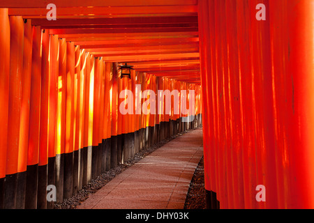 Curved corridor of Red Torii gates at Fushimi Inari Taisha Shinto ...