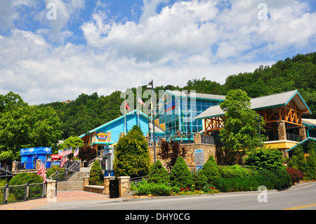 Ripley's Aquarium of the Smokies, Gatlinburg, Tennessee, USA Stock Photo