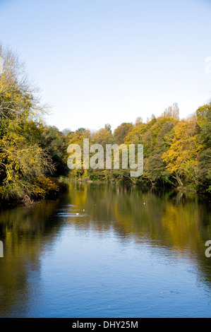 River Taff and Autumn colours, Blackweir, Pontcanna, Cardiff, Wales. Stock Photo