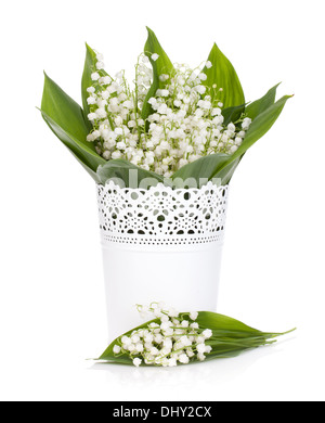 Lily of the valley in flower pot. Isolated on white background Stock ...