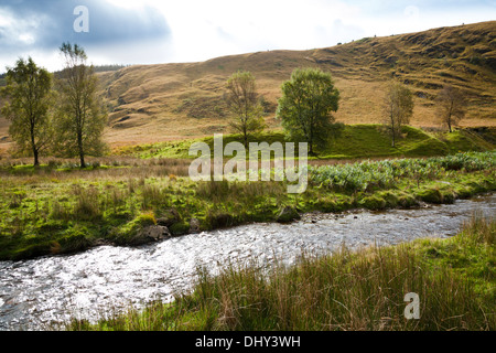 Nant y Maen valley in the Cambrian Mountains, Ceredigion, Wales UK Stock Photo