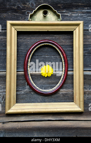 two antique picture frames on gray wooden wall and dahlia flower Stock Photo