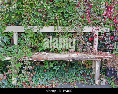 An old neglected wooden bench in a corner of the garden Stock Photo
