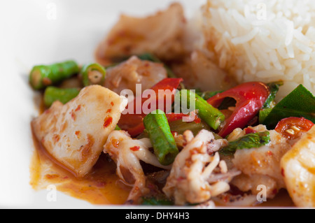 Rice with stir fried hot and spicy squid with basil  Stock Photo