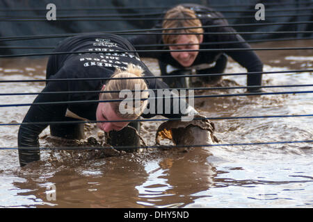 Battersea, London, UK. 16th November 2013. Competitors crawl through the mud at the Men's Health Survival of the Fittest 2013 event at Battersea Power Station. Credit:  Paul Davey/Alamy Live News Stock Photo