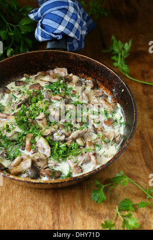 wild mushrooms stewed in sour cream in a pan, food Stock Photo