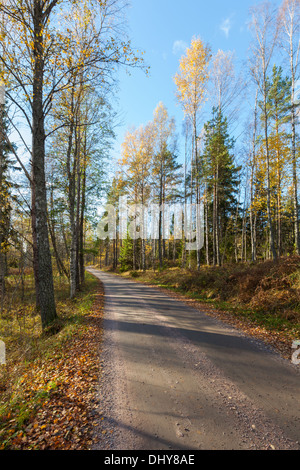 Beautiful autumn in Finland Stock Photo