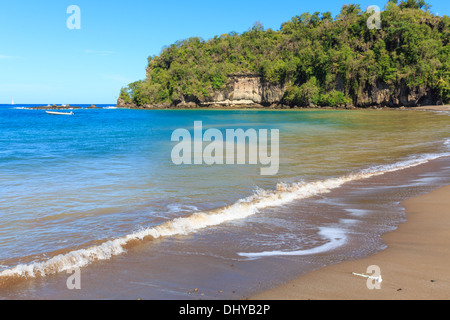 Beautiful Caribbean Beach with palm coastline Stock Photo