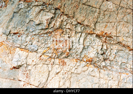 Dirt Background with die moss . Stock Photo