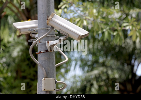 The Picture CCTV cameras on power poles. Stock Photo