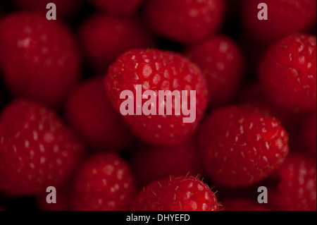 Bowl of raspberries on wood table Stock Photo