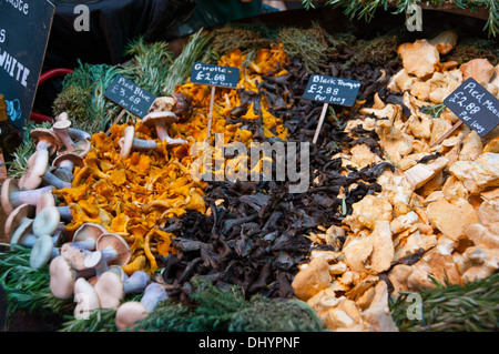 Mushroom stall in Borough Market London SE1 UK Stock Photo