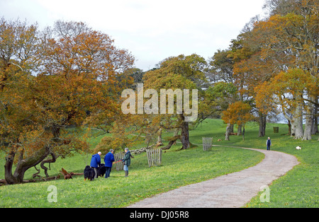 People walking dogs on Trelissick estate, Cornwall, UK Stock Photo