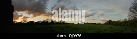 amber sunset clouds field trees grass  blue sky Stock Photo