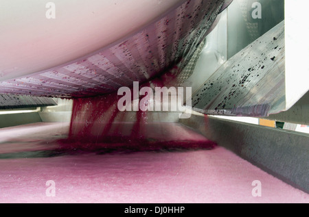 Free run juice from a pneumatic wine press Stock Photo