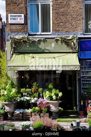 Titanias Garden Flower Shop, Crawford Street, Marylebone, London, England, UK, Europe Stock Photo