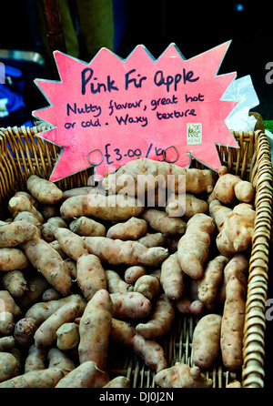 Pink fir apple potatoes, market stall,  London, England, UK, Europe Stock Photo