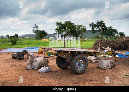 Indian bullock cart and zebu in a rural indian village. Andhra Pradesh, India. Stock Photo