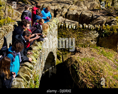 Tourists looking over stone bridge above Aira Force waterfall near Ullswater in Lake District National Park Cumbria England UK Stock Photo