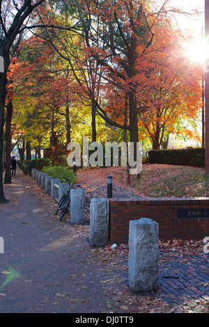 Fall afternoon in front of the Harvard Kennedy School's Belfer Center building in Cambridge, MA, USA. Stock Photo