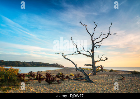 Sunrise at Benacre on the Suffolk Coast Stock Photo