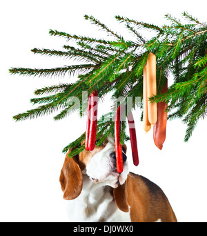 Christmas tree, dog and sausage isolated on white background