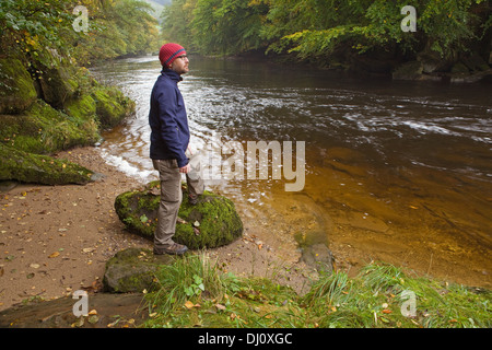 Haugh Wood and the River Wharfe, Wharfedale, Yorkshire Dales National Park, England, UK. October 2013. Stock Photo