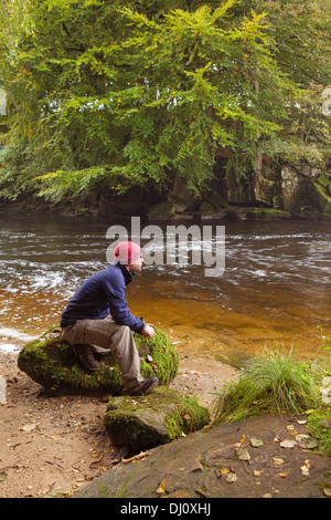 Haugh Wood and the River Wharfe, Wharfedale, Yorkshire Dales National Park, England, UK. October 2013. Stock Photo